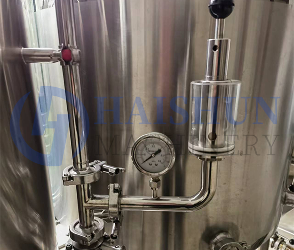 Tanques de fermentación 10BBL