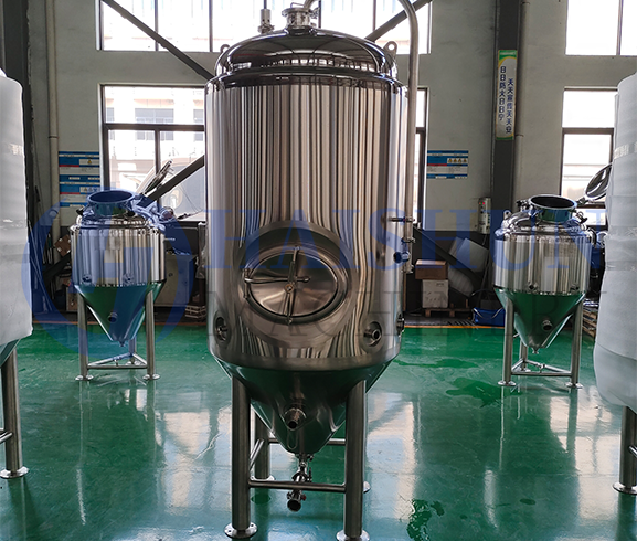 Tanques de fermentación 10BBL